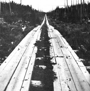 site13